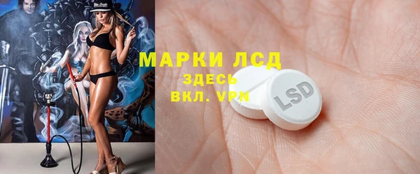 2c-b Горнозаводск