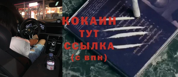 2c-b Горнозаводск