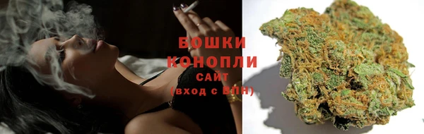 прущая мука Горняк