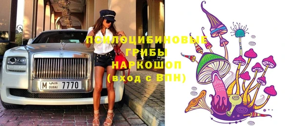 прущая мука Горняк