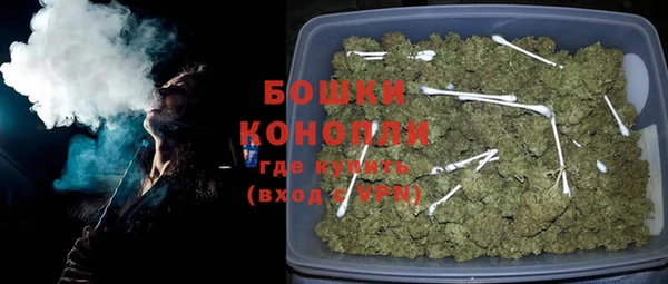 2c-b Горнозаводск
