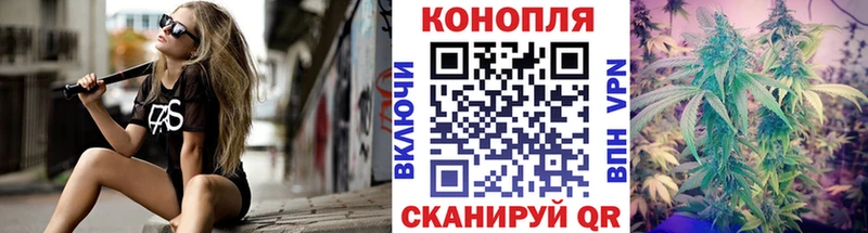 Бошки Шишки планчик  Мценск 